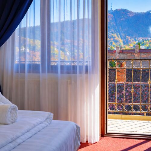 Camera dubla standard