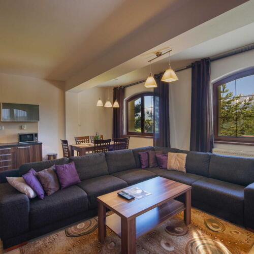 Apartament 2-osobowy Deluxe z prysznicem (możliwa dostawka)