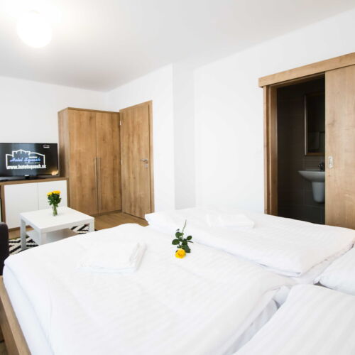 Zweibettzimmer (Zusatzbett möglich)