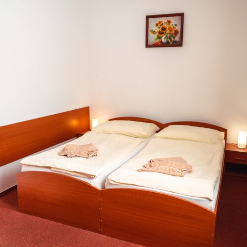 Pokój 2-osobowy z łazienką z prysznicem