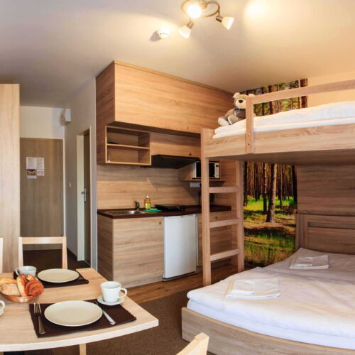 Apartament economy studio cu 1 camera pentru 4 pers.