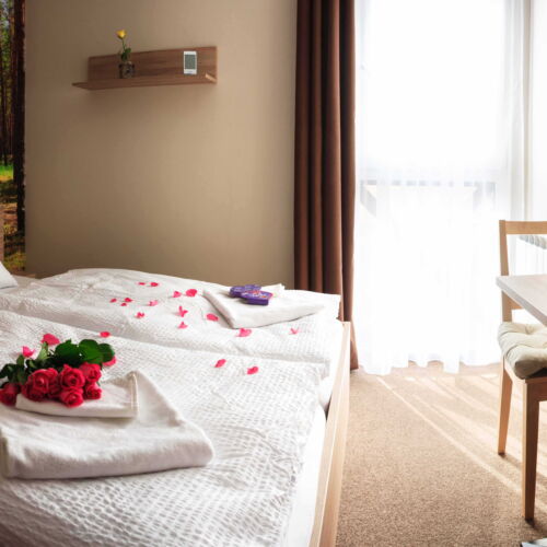 Apartament standard studio cu 1 camera pentru 2 pers.