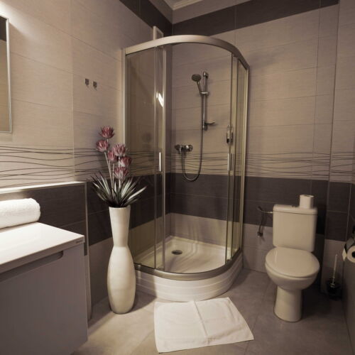 Business Pokoj se sprchou s manželskou postelí