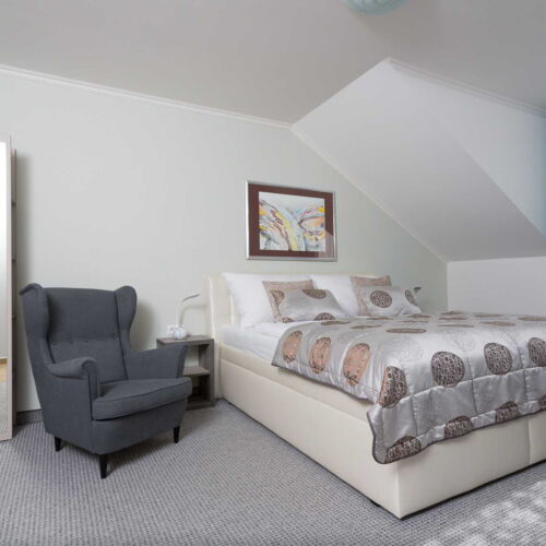 Pokoj se sprchou s vlastní kuchyňkou s manželskou postelí (s možností přistýlky)