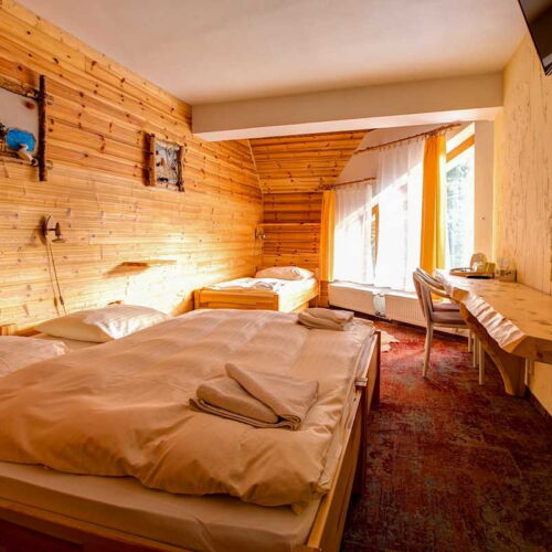 Camera tripla confort cu vedere spre munte