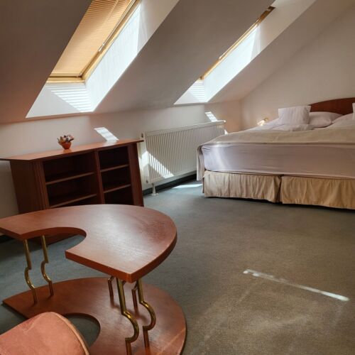 Attic Superior Double Room (extra bed available)