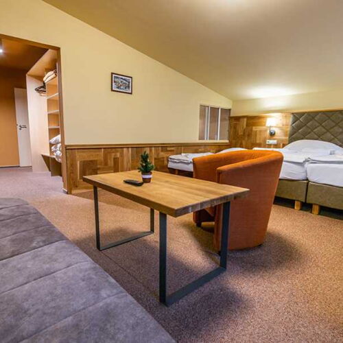 Camera twin superior cu duș (se poate solicita pat suplimentar)