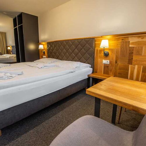 Camera twin cu duș (se poate solicita pat suplimentar)