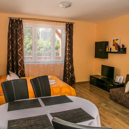 Camera twin cu duș cu chicinetă proprie (se poate solicita pat suplimentar)