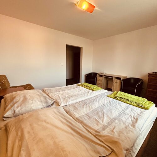 Camera twin standard cu duș (se poate solicita pat suplimentar)