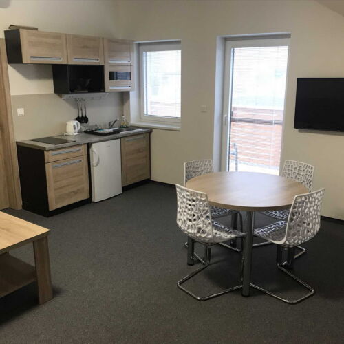 Apartament cu duș cu chicinetă proprie cu 1 camera pentru 2 pers. (se poate solicita pat suplimentar)