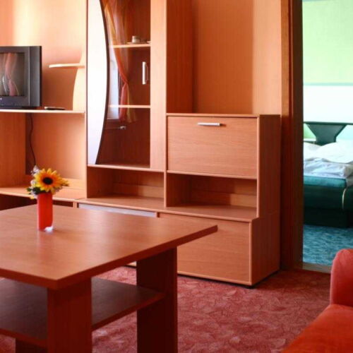 Pokój 2-osobowy z prysznicem