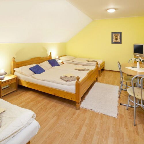 Pokój 4-osobowy z prysznicem z własną kuchnią