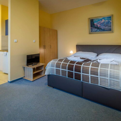 Apartament studio întreaga unitate cu 1 camera pentru 4 pers.