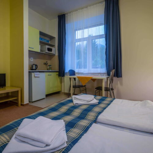 Apartament studio la parter cu 1 camera pentru 2 pers.
