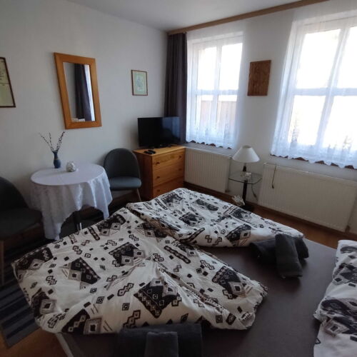 Camera dubla cu duș cu chicinetă proprie