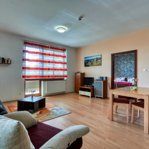 Apartament family cu chicinetă proprie cu 1 camera pentru 4 pers. (se poate solicita pat suplimentar)