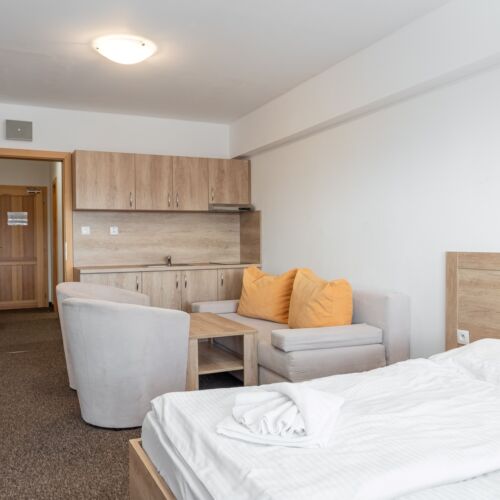 Studio Pokoj se sprchou s manželskou postelí (s možností přistýlky)