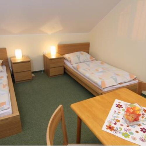 Pokoj se sprchou  pro 1 os.