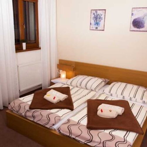 Pokoj se sprchou  pro 2 os.