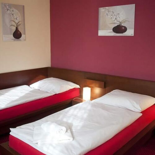 Camera twin standard cu duș (se poate solicita pat suplimentar)