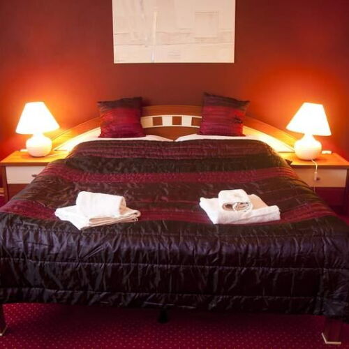 Camera twin classic cu duș (se poate solicita pat suplimentar)