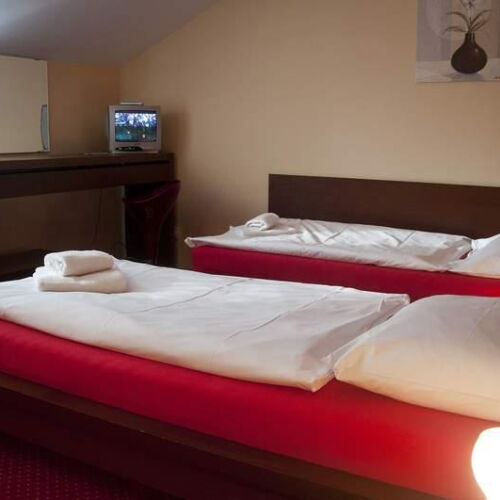 Camera twin family cu duș (se poate solicita pat suplimentar)