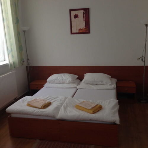 Standard Twin Room with Shower