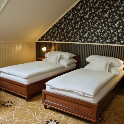 Pokoj s klimatizací se sprchou pro 1 os.