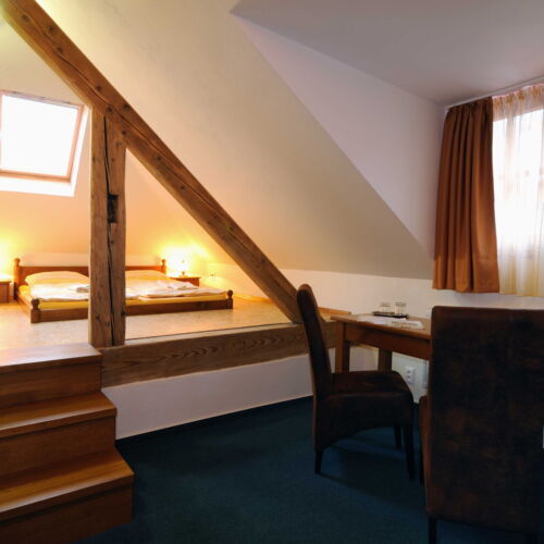 Camera dubla cu duș