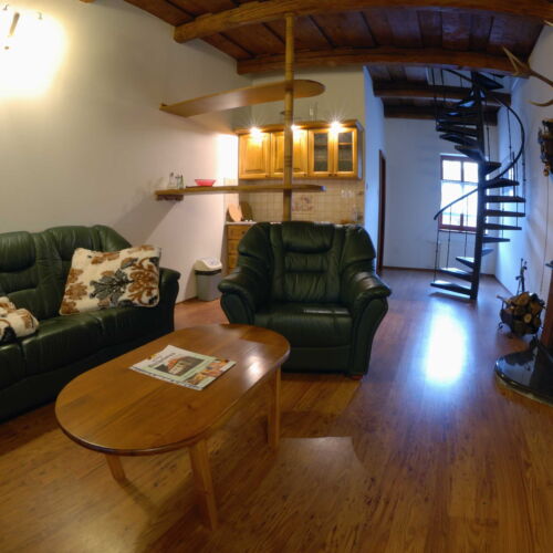 Apartament cu 1 camera pentru 2 pers. (se poate solicita pat suplimentar)