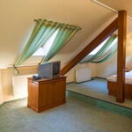 Deluxe Twin Room with Shower (extra bed available)