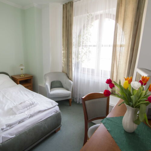 Pokój 1-osobowy Standard z prysznicem