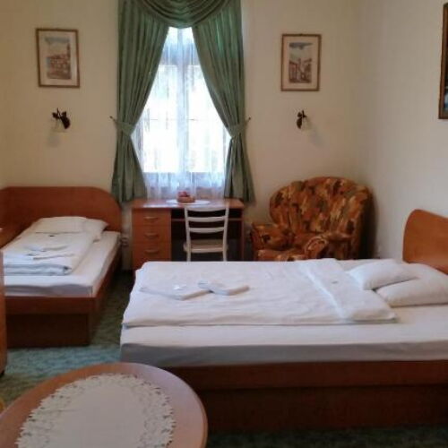 Camera dubla cu aer condiționat cu duș (se poate solicita pat suplimentar)