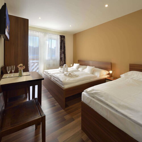 Pokoj se sprchou  pro 3 os.