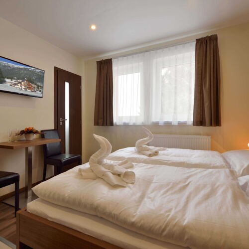 Pokoj se sprchou  pro 2 os.