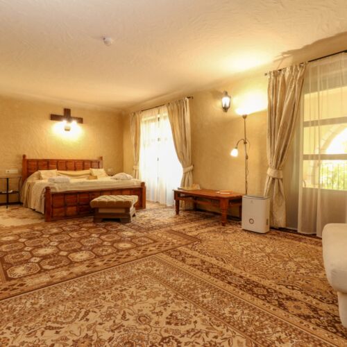 Rezydencja pokój 2-osobowy Pałac z tarasem z 1 pomieszczeniem sypialnianym (możliwa dostawka)