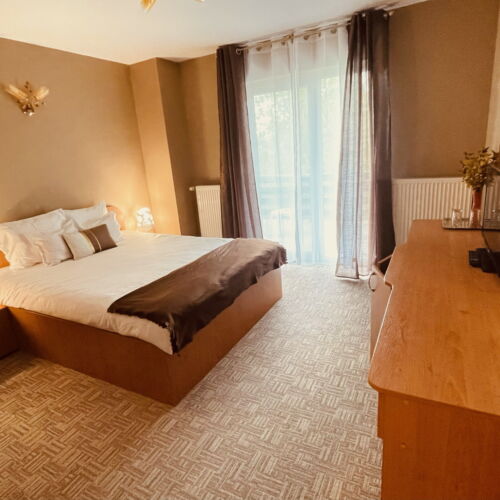 Camera dubla cu balcon cu baie (se poate solicita pat suplimentar)