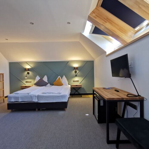 Camera twin la mansarda (se poate solicita pat suplimentar)