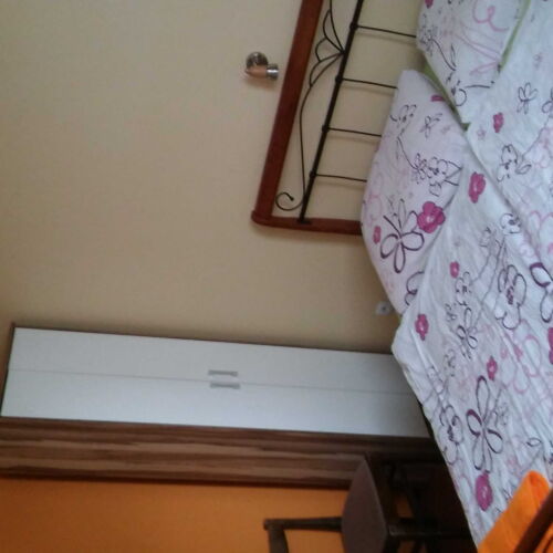 Camera twin cu duș (se poate solicita pat suplimentar)