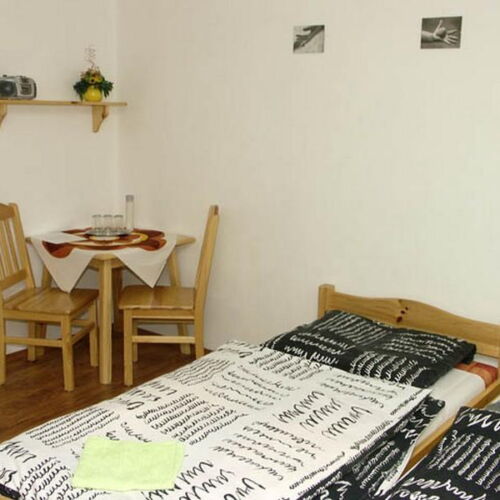 Pokoj se sprchou  s manželskou postelí (s možností přistýlky)