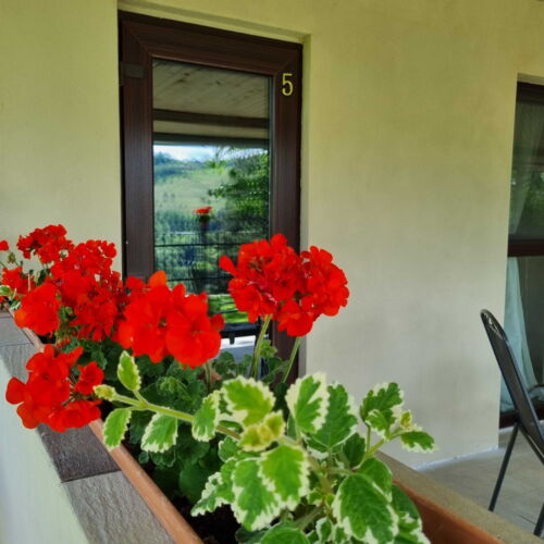 Izba so sprchou s terasou pre 2 os.