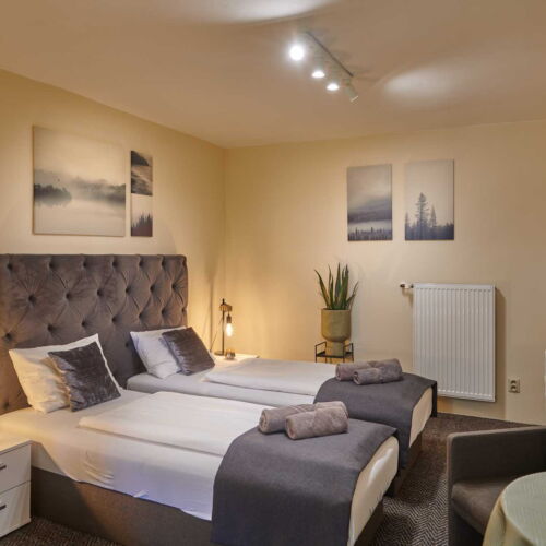 Izba so sprchou s terasou pre 2 os.