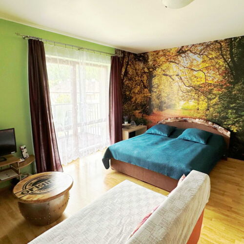 Apartament 4-osobowy na piętrze Superior z 1 pomieszczeniem sypialnianym