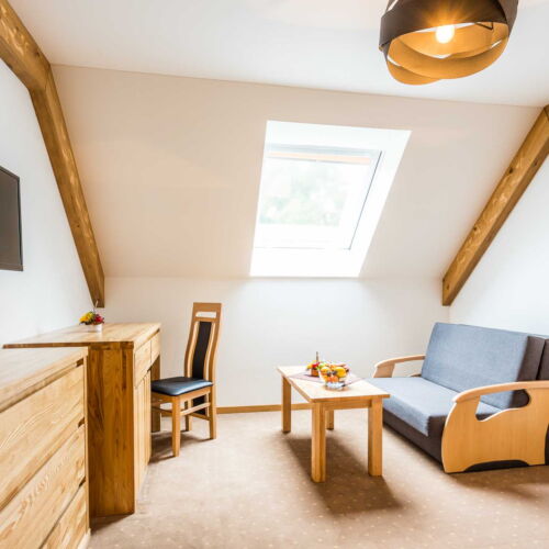 Pokoj se sprchou s balkónem pro 3 os. (s možností přistýlky)