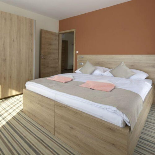 Pokój 3-osobowy Junior z prysznicem (możliwa dostawka)