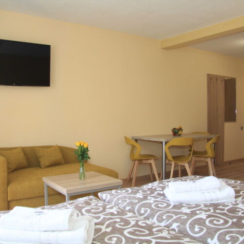 Studio Family Apartman s manželskou postelí s 1 ložnicí (s možností přistýlky)