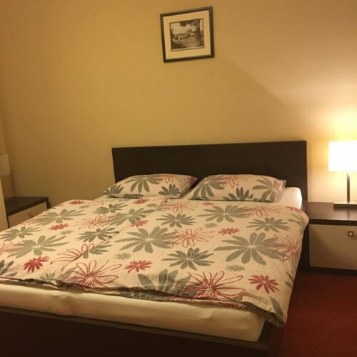 Pokój 2-osobowy z prysznicem z klimatyzacją (możliwa dostawka)