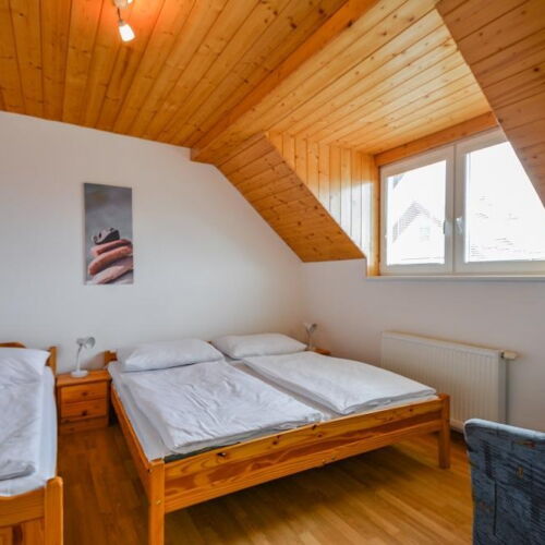 Camera tripla cu duș