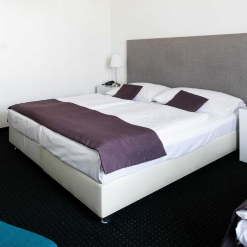 Camera tripla cu aer condiționat cu duș